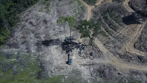 Deforestation aerial view Stock Footage 86152193