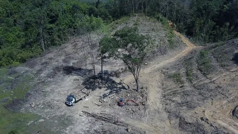 Deforestation aerial view Stock Footage 86152216