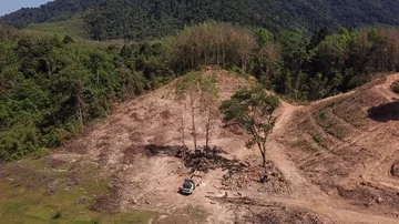 Deforestation aerial view Stock Footage 86153524
