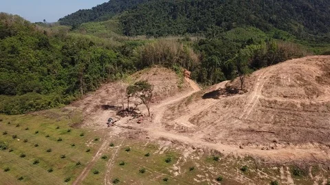 Deforestation aerial view Stock Footage 86153569