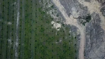 Deforestation aerial view Stock Footage 86153654