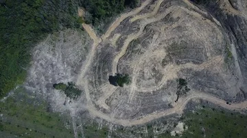 Deforestation aerial view Stock Footage 86154236