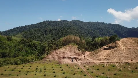 Deforestation aerial view Stock Footage 86154304
