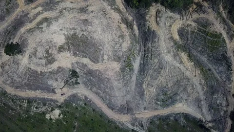 Deforestation aerial view Vídeos de archivo 86154352