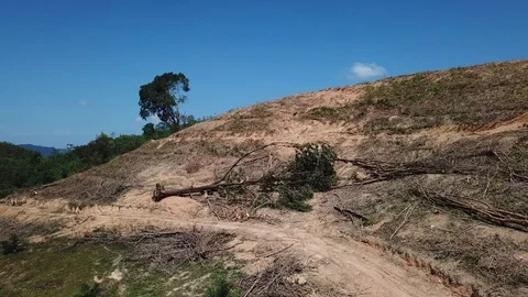 Deforestation aerial view Stock Footage 86154891