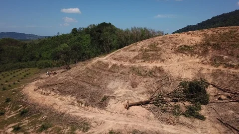 Deforestation aerial view Video stock 86155036