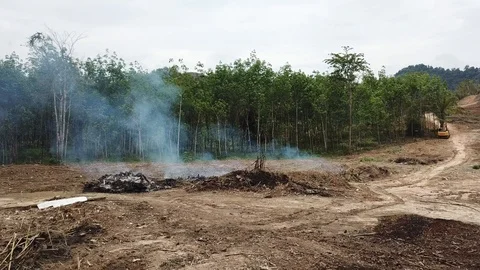 Deforestation aerial view Stock Footage 87812099