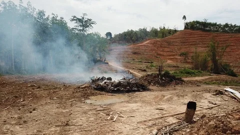 Deforestation aerial view Stock Footage 87812339