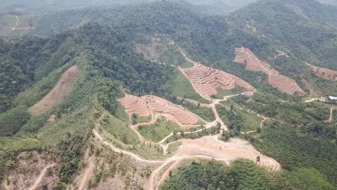 Deforestation aerial view Stock Footage 87814784