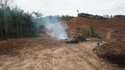 Deforestation aerial view Video stock 87814891