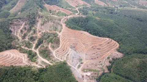 Deforestation aerial view Stock Footage 87814905