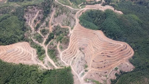 Deforestation aerial view Stock Footage 87814930