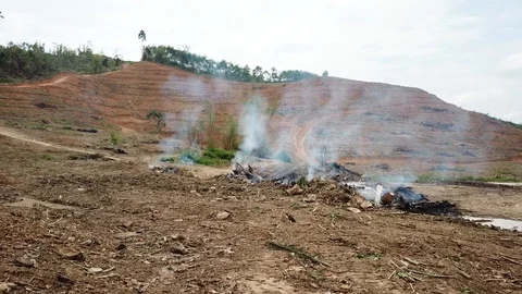 Deforestation aerial view Video stock 87816654