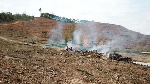 Deforestation aerial view Stock Footage 87816687