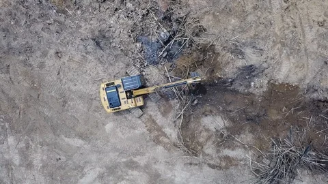 Deforestation aerial view Stock Footage 88233061