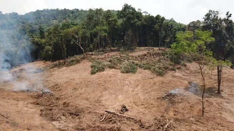 Deforestation aerial view Stock Footage 88233094