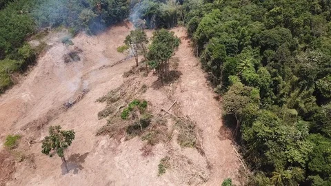 Deforestation aerial view Stock Footage 88233184