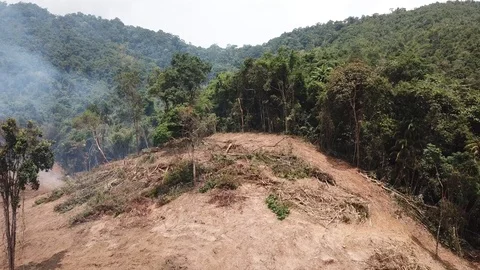Deforestation aerial view Stock Footage 88233187