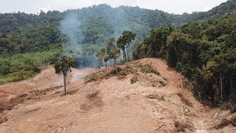 Deforestation aerial view Vídeos de archivo 88233241