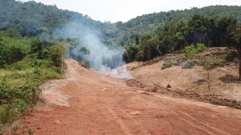 Deforestation aerial view Vídeos de archivo 88234069