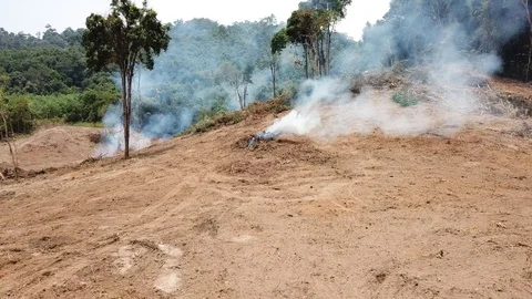 Deforestation aerial view Stock Footage 88234928