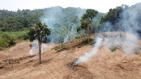 Deforestation aerial view Stock Footage 88235071