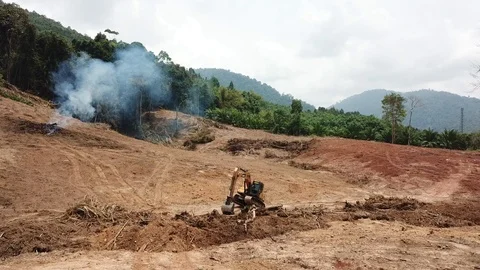 Deforestation aerial view Stock Footage 88235074