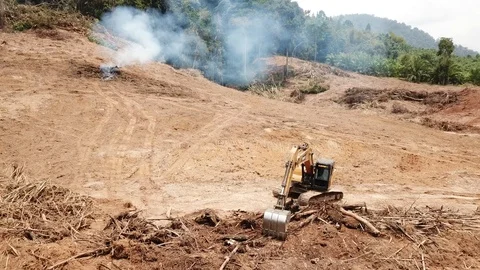 Deforestation aerial view Stock Footage 88235131