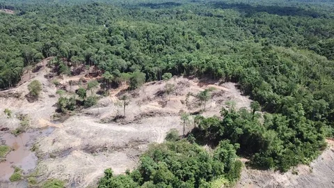 Deforestation aerial view Stock Footage 90166120