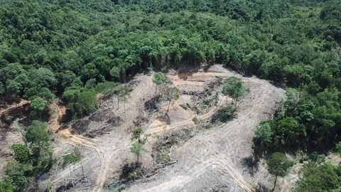 Deforestation aerial view Stock Footage 90170628
