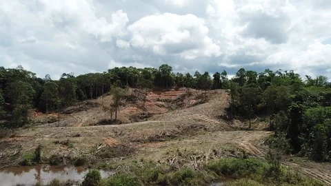 Deforestation aerial view Video stock 90173432