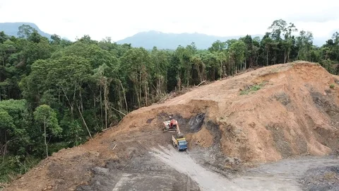 Deforestation aerial view Stock Footage 90216301