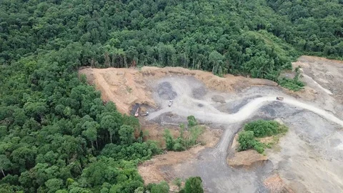 Deforestation aerial view Stock Footage 90249921