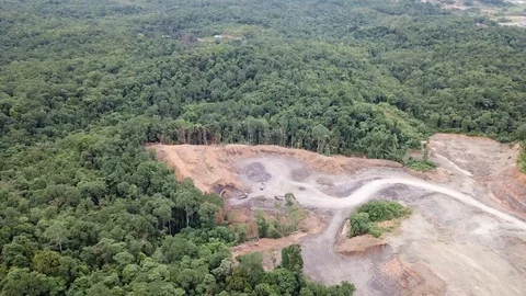 Deforestation aerial view Stock Footage 90249946