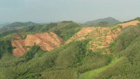Deforestation. Aerial View of jungle rain forest. Stockbeeldmateriaal 143028833