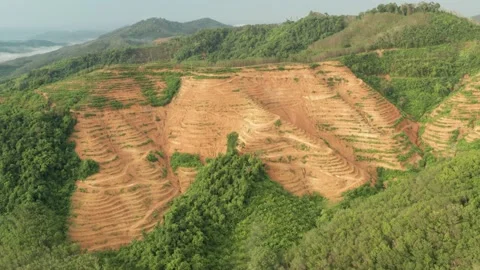 Deforestation. Aerial View of mountain rain forest. Video stock 143028855