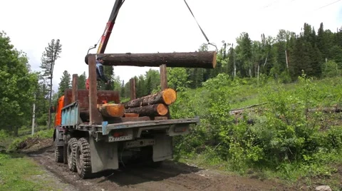 Deforestation in the Altai Stock Footage 50826964