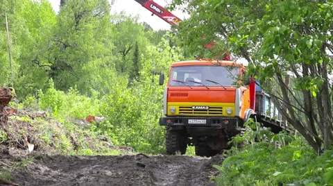 Deforestation in the Altai Stock Footage 50826971