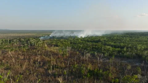 Deforestation in the Amazon region, Colombia Stock Footage 333902172