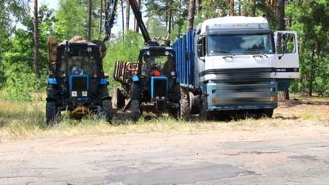Deforestation and automated loading onto a truck vehicle Vídeos de archivo 111521138