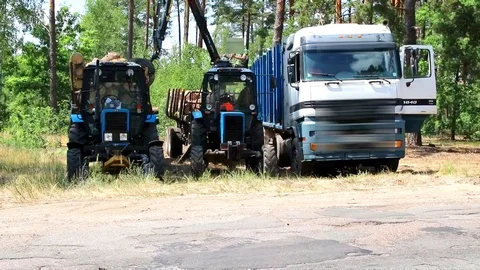 Deforestation and automated loading onto a truck vehicle Video stock 112264900