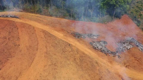 Deforestation and fire Video stock 104492922