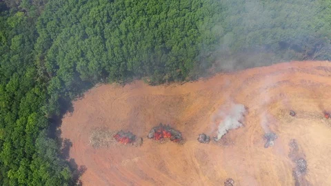 Deforestation and fire Video stock 104493608