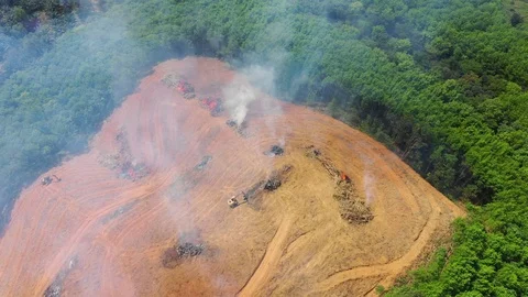Deforestation and fire Stock Footage 104839464