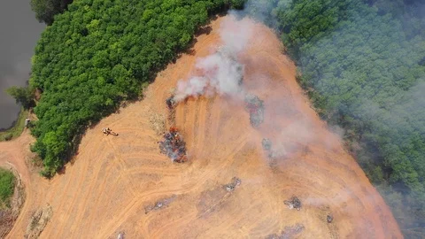 Deforestation and fire Stock Footage 104839993