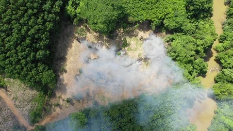 Deforestation and fire Vídeo Stock 107519917