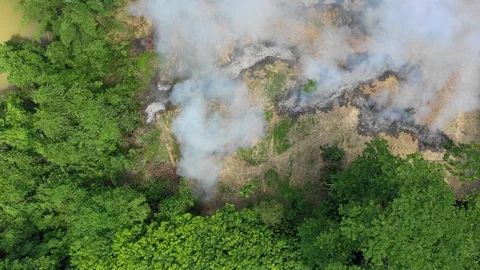 Deforestation and fire Stock Footage 107520256