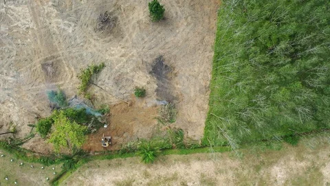 Deforestation and fire Vidéo 120497394