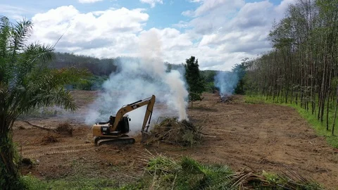 Deforestation and fire 스톡 동영상 120497511