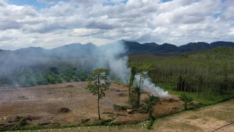 Deforestation and fire Vidéo 120497592